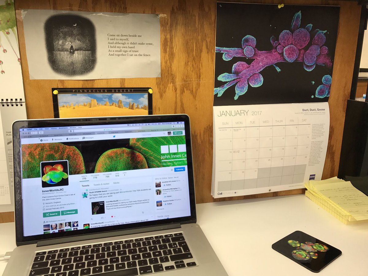 Nat_Prunet's tweet photo. #CellPictureShow calendar now hanging at my desk. Beaufiful #microscopy #sciart @CellCellPress & @zeiss_micro!
#bioart #scienceisbeautiful https://t.co/A83keBY2XI