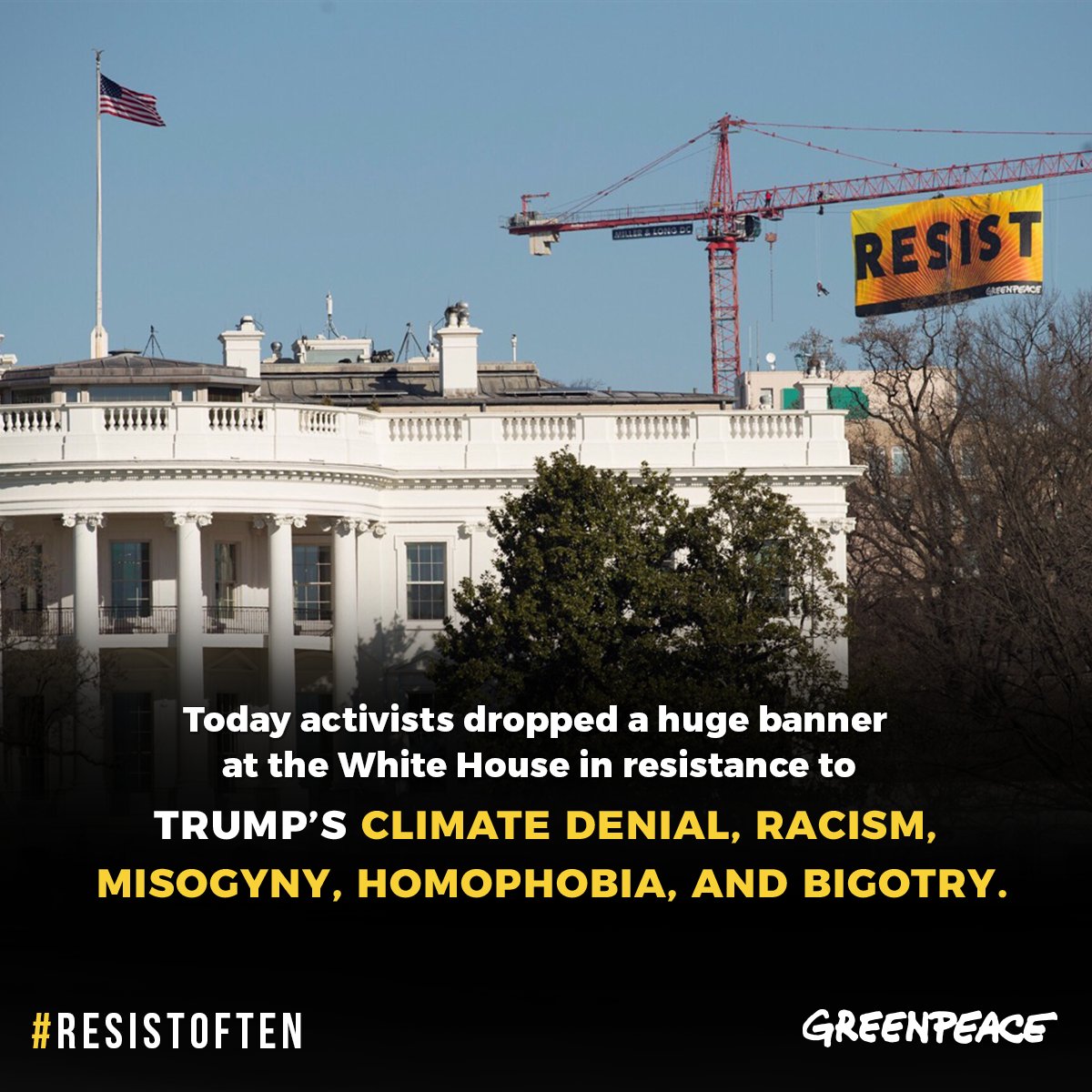Greenpeace USA tweet media