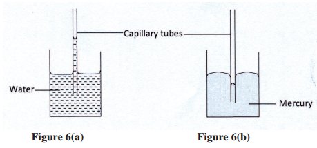 easy_elimu's tweet photo. Kenya Certificate Of Secondary Education(KCSE 2013) Physics Paper 1 https://t.co/oJa9uzE2Yj #GetTurntWithDJMO https://t.co/Y23UNfxvMG