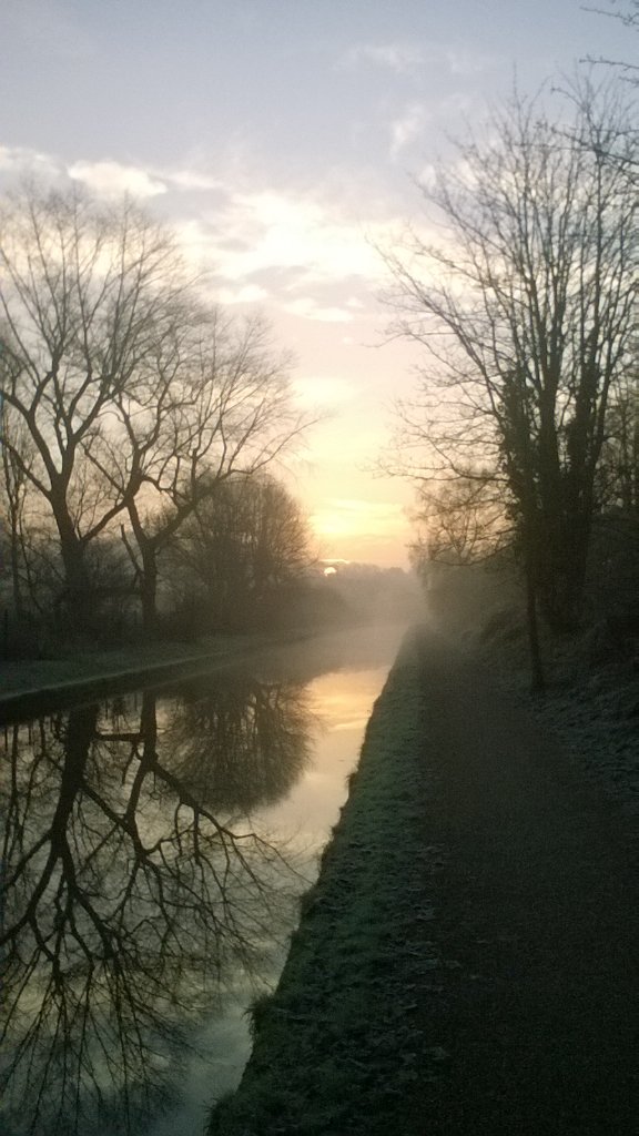 StephenLunn3's tweet photo. Frosty morning. Nice! https://t.co/3biLdCR1Ui