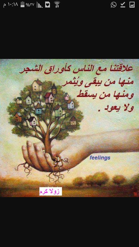 #صيد_القلوب_في_غيمة_نجاح