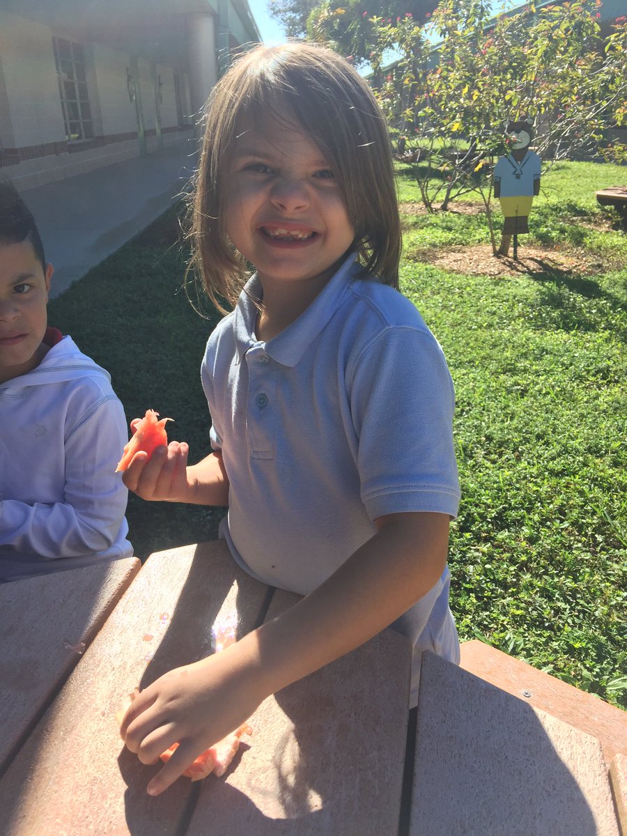 katieblack04's tweet photo. Mixed feelings about the grapefruit! #Kindergarten #sweet #sour 😜😋🍊 @CESCorkyBear https://t.co/YjSAyD3VXW