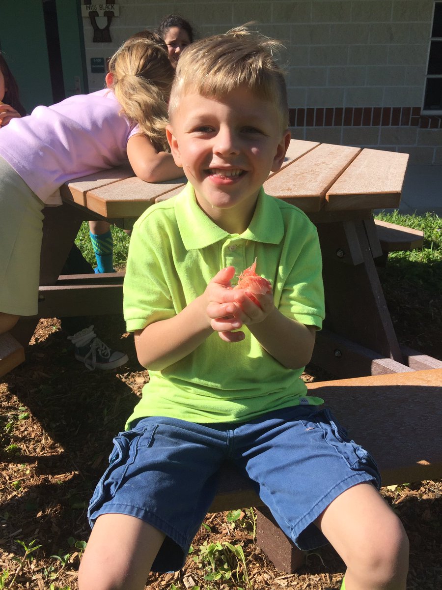katieblack04's tweet photo. Mixed feelings about the grapefruit! #Kindergarten #sweet #sour 😜😋🍊 @CESCorkyBear https://t.co/YjSAyD3VXW