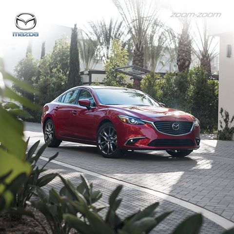 Mazda Picacho tweet media