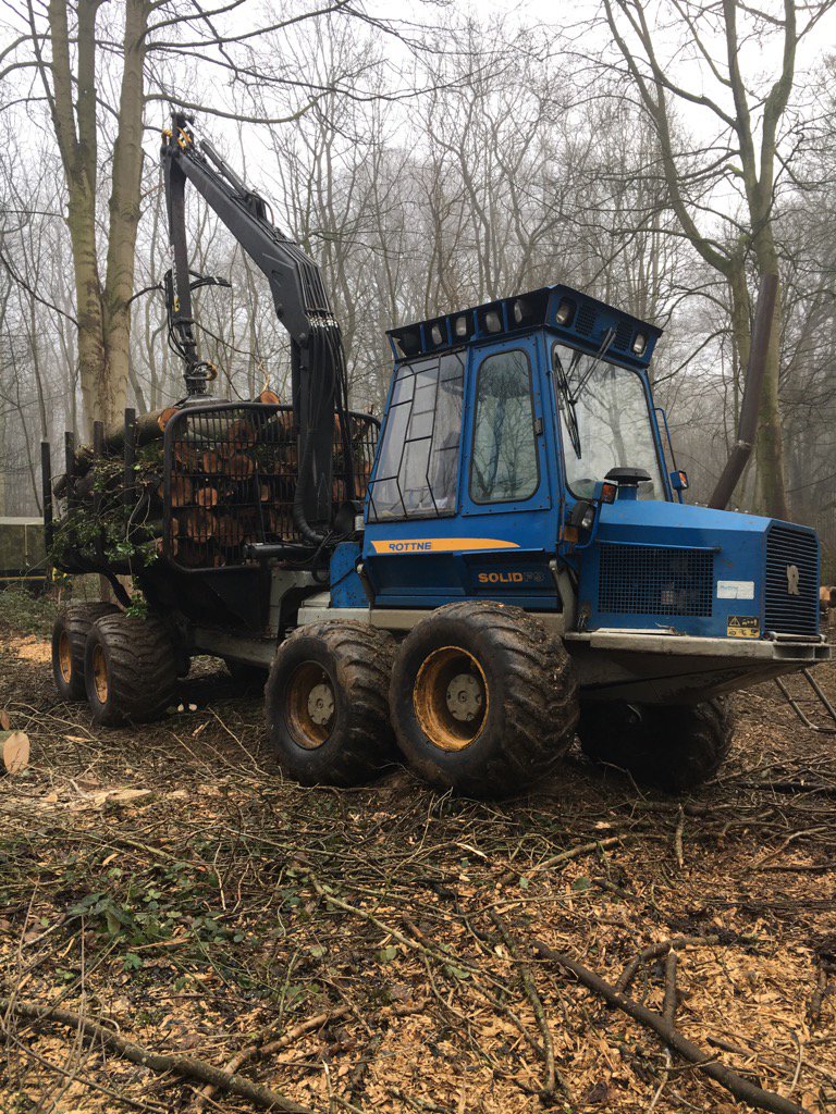 leicslogs's tweet photo. Back in the foggy forest.#ashlogs #firewood #forestry https://t.co/AEmYEV50fN