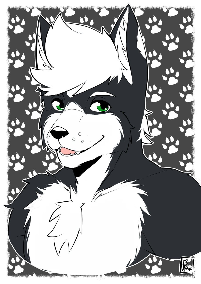 wolffkey's tweet photo. Bueno primer dibujo del año 2017 por #Rookiebear en #FurAfinitty un icono cuqui , #Wolffkey2017
¿ que les parece ? https://t.co/50MNgFqMCm