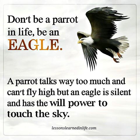 Don't be a parrot in life, be an EAGLE. A parrot talks way too much &amp; can't fly high but an eagle is silent &amp; has the will to touch the sky.