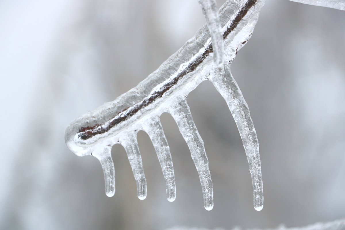 Nowlan_ASDN's tweet image. #NBStorm #icestorm2017 #stillnopower