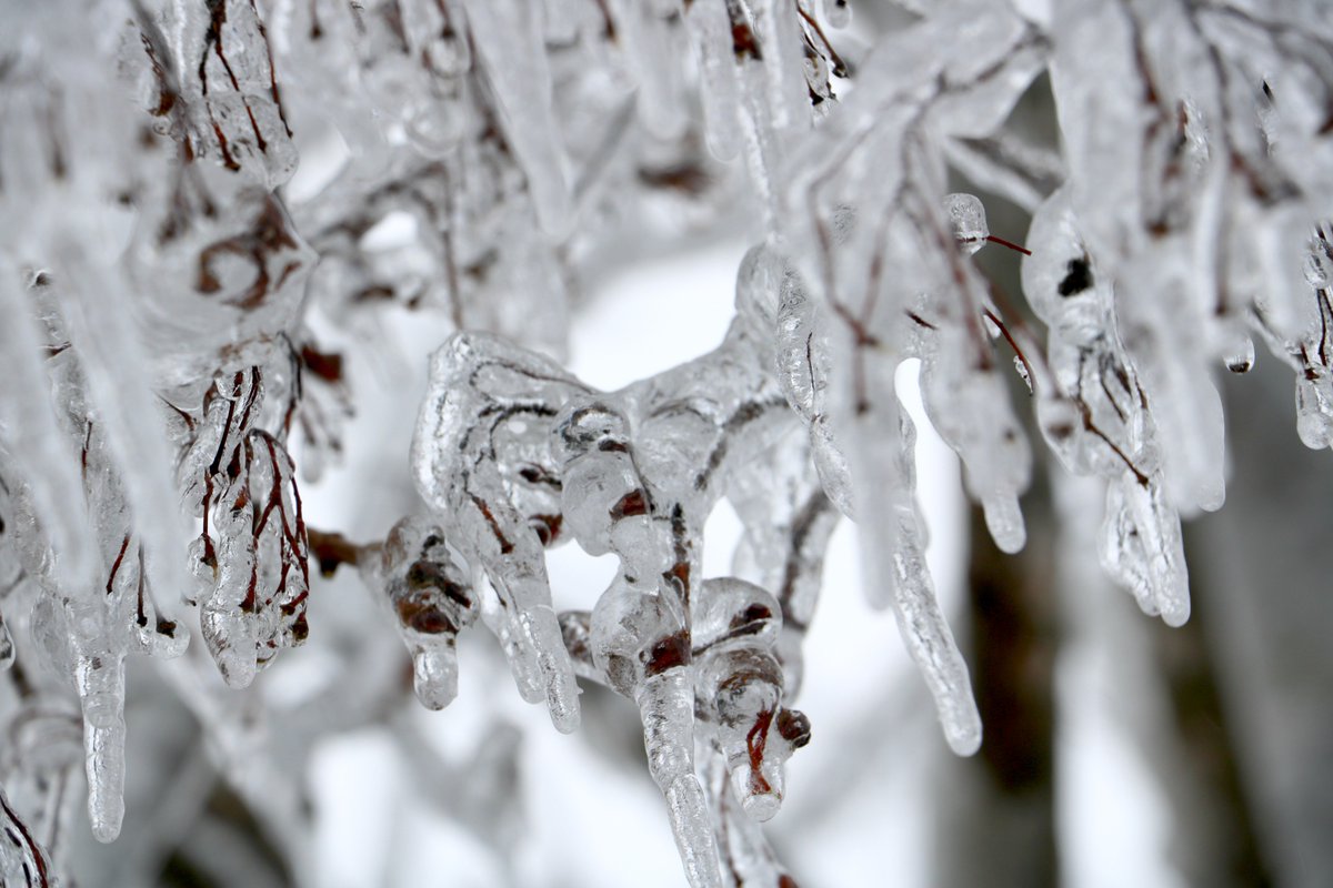 Nowlan_ASDN's tweet image. #NBStorm #icestorm2017 #stillnopower