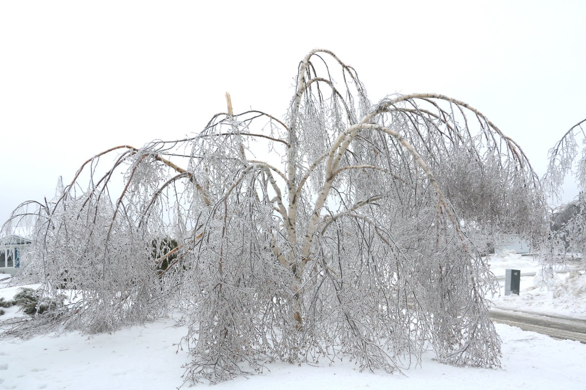 Nowlan_ASDN's tweet image. #NBStorm #icestorm2017 #stillnopower