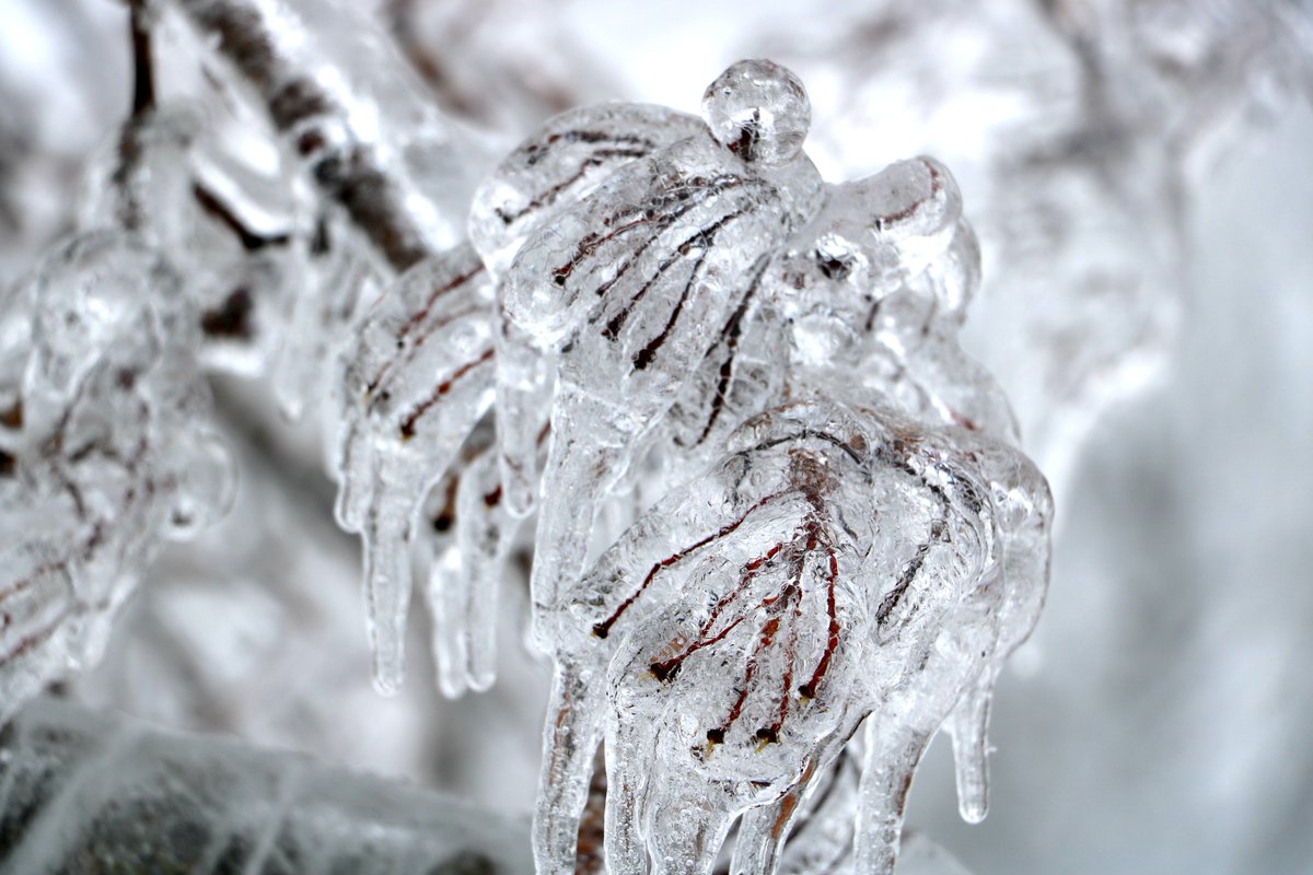 Nowlan_ASDN's tweet image. #NBStorm #icestorm2017 #stillnopower