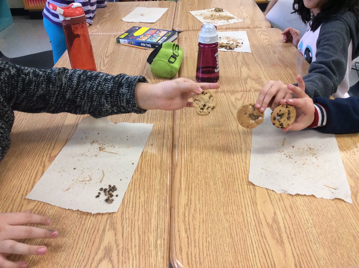 MrsPassfield's tweet photo. #4A mining for chocolate chips as we explore what happens to the surrounding environment. @SWL_HWDSB #science #experiment #rocksandminerals https://t.co/ykpIAbCGPh