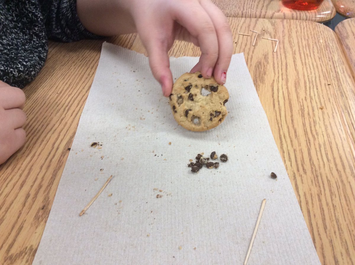 MrsPassfield's tweet photo. #4A mining for chocolate chips as we explore what happens to the surrounding environment. @SWL_HWDSB #science #experiment #rocksandminerals https://t.co/ykpIAbCGPh