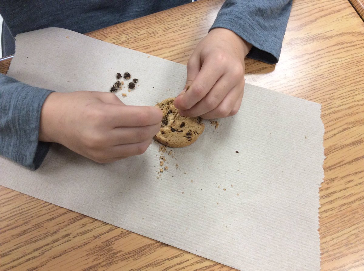 MrsPassfield's tweet photo. #4A mining for chocolate chips as we explore what happens to the surrounding environment. @SWL_HWDSB #science #experiment #rocksandminerals https://t.co/ykpIAbCGPh
