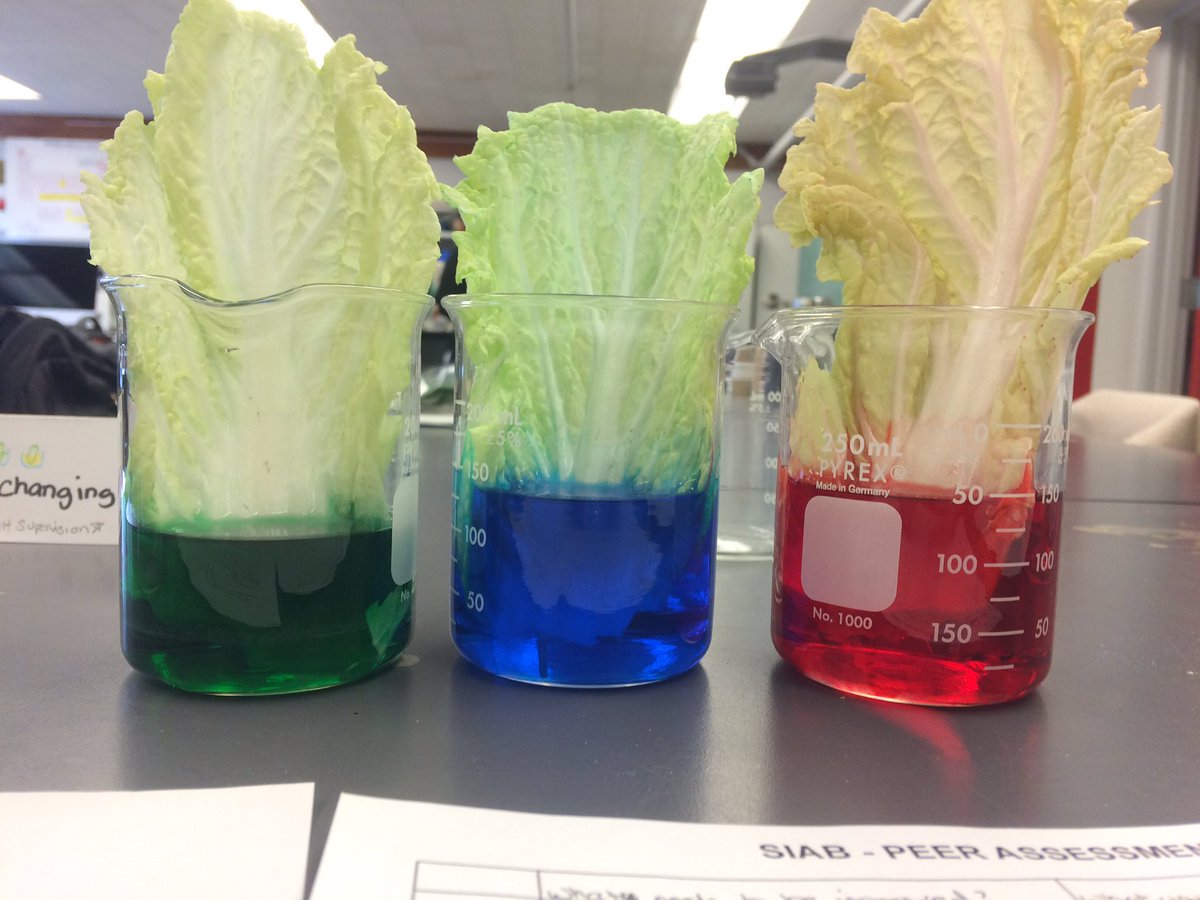 nicoleblock_'s tweet photo. Science In A Bag experiments for all ages!! #share #collaborate #science #SIAB #UBCEd2017 https://t.co/Q8BC8bfUko