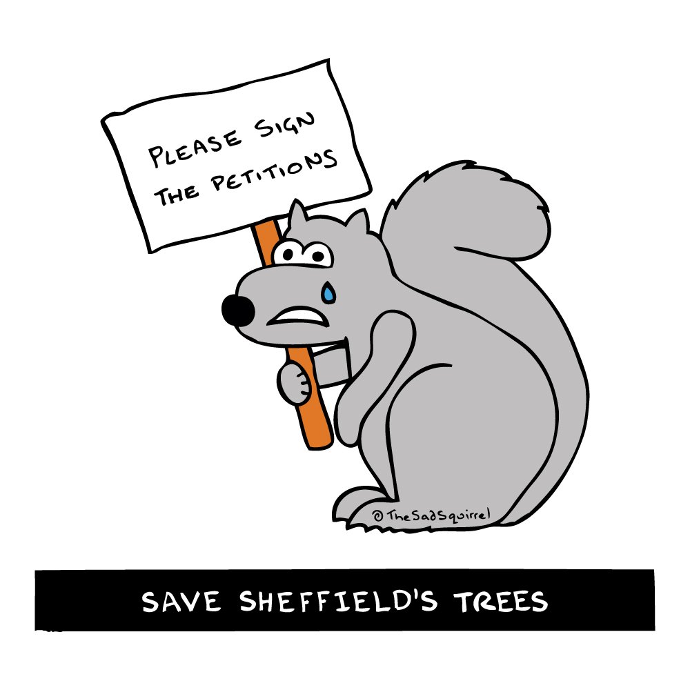 TheSadSquirrel's tweet photo. PLEASE SIGN THE PETITIONS. Help stop AMEY & #Sheffield City Council cutting down our trees. https://t.co/lAUSgG8he8 #SaveSheffTrees #GTOS17 https://t.co/SGW8cVtNiN