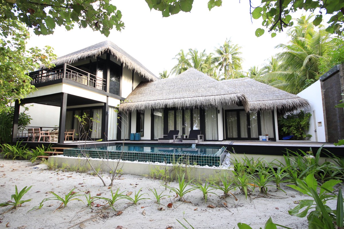 CAMMaldives1's tweet photo. LANDSCAPING: Our service of landscaping includes:
Initial Survey:  •🌳Tree Survey, Island Mapping (shoreline and vegetation line), and Soil https://t.co/wxUyCQYu1B