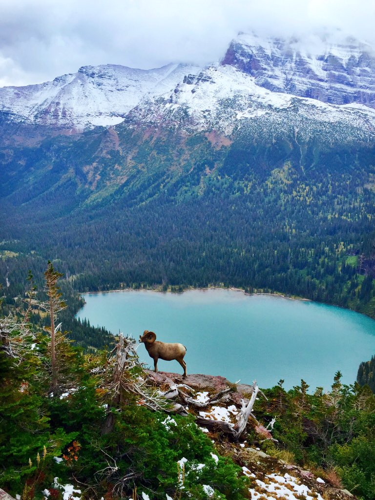 ahsinning's tweet photo. @AltNatParkSer  Glacier National Park, 2015. https://t.co/k0aWyPFSNp
