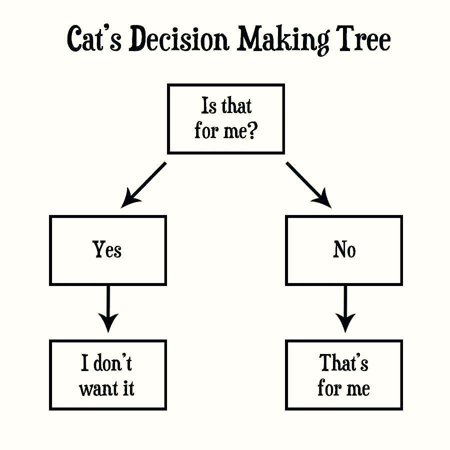 BarringtonMole's tweet photo. This... 😹👆🏻 https://t.co/nEfcHmAPwq