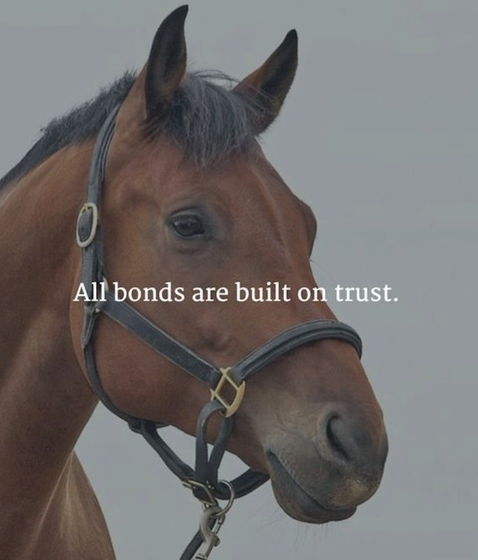 EQmach's tweet photo. Only the best for your horse! 🙌🏻 #EquineSupplement 

https://t.co/3ej9d7mxEm https://t.co/ESiG9RtUFv