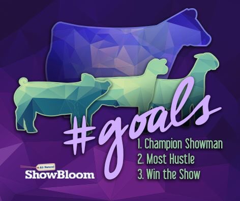 StockShowProbs's tweet photo. #goals @ShowBloom365 https://t.co/zUgxFIFChr
