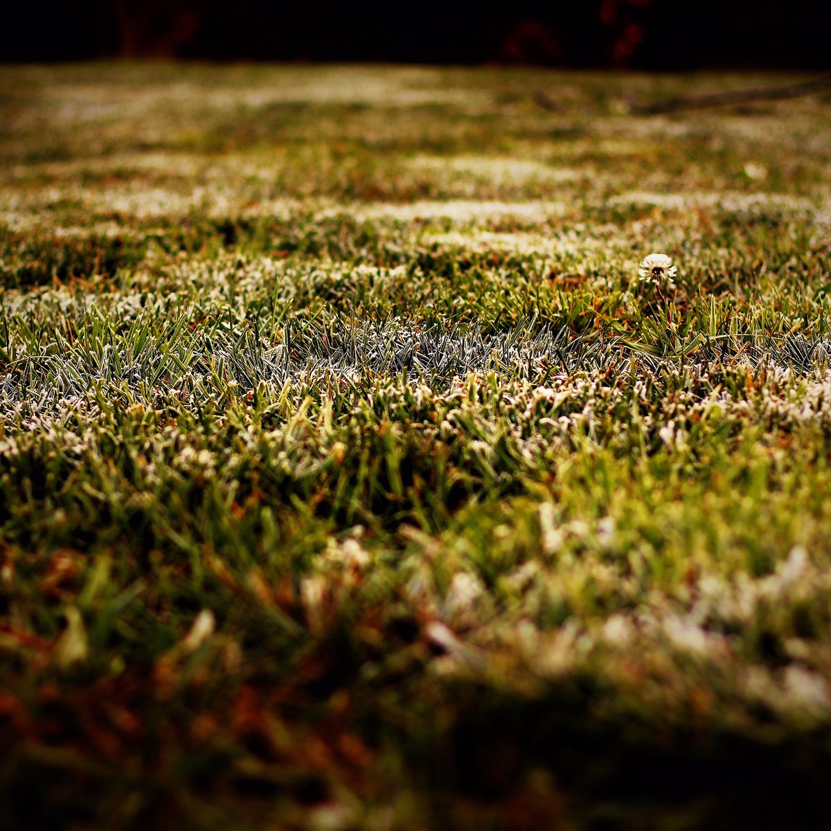 PurposePP's tweet image. 🌾📸🌾#Purpose #Photography