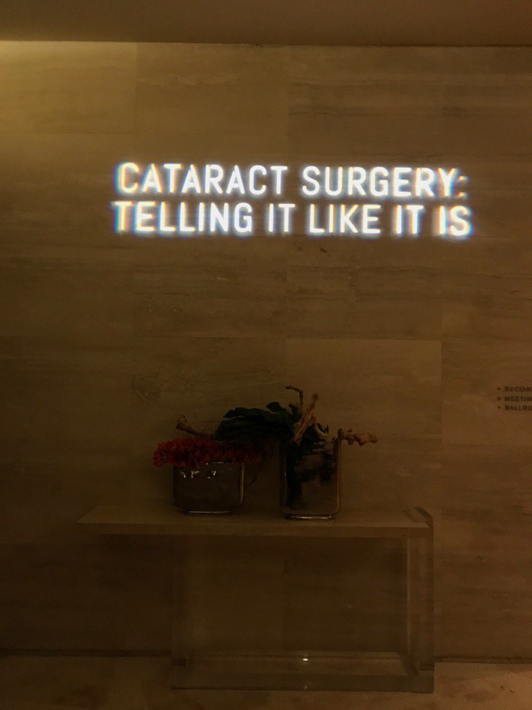 yrchu's tweet photo. #cataracttelling it like it is meeting https://t.co/VKk0Lz660p