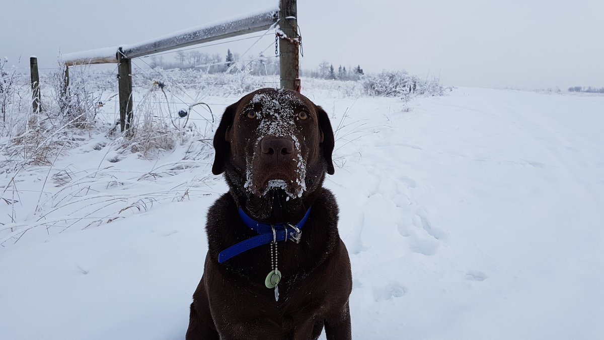 Not always...but sometimes this guy is the only one i need to talk to...as u can see hes a gr8 listener #bellletstalk