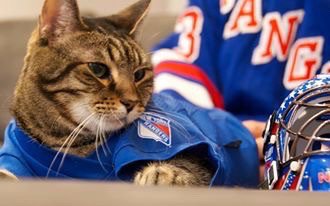 davidpashman's tweet photo. Let's go rangers!!#nyrdelta https://t.co/C2MgFr8alI