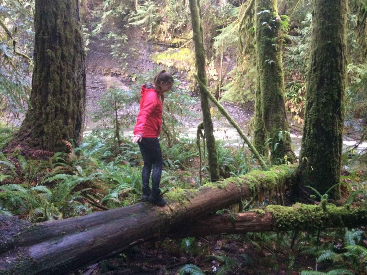 journeytoadvent's tweet photo. Wondering what there is to do on Vancouver Island? Here are 5 things you should definitely see in the Alberni Valley
https://t.co/g0Lmkzo8k5 https://t.co/0QnKC34Tjf