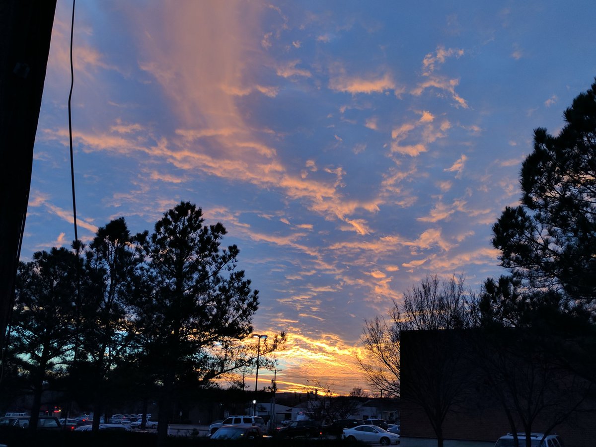 Arkansas Asla (@arkansasasla) on Twitter photo 