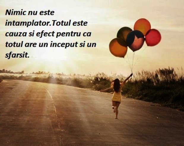 Agnesa Lobo (@maricicavoina) on Twitter photo 