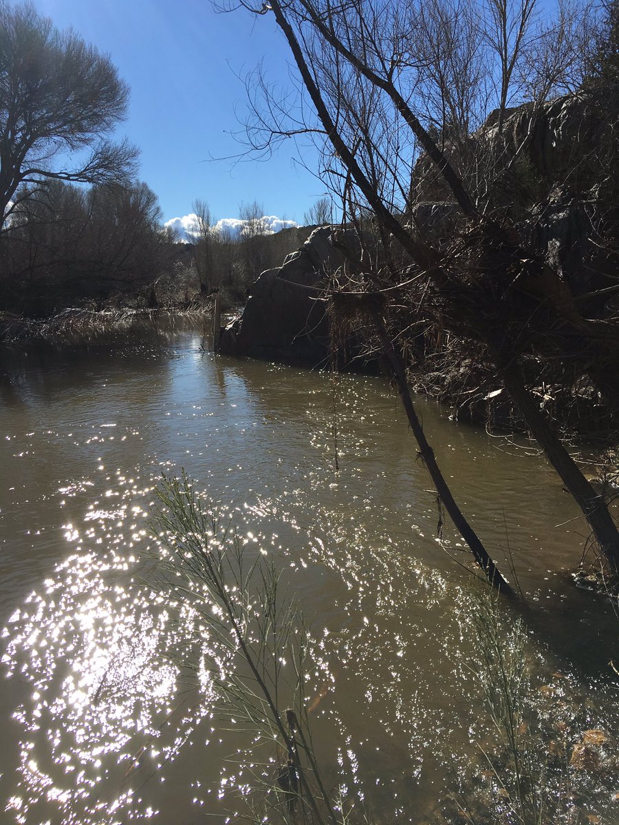 Agua Fria is flooded from the recent rain... beautiful sight too bad we can't reach our sensors! #streamecology