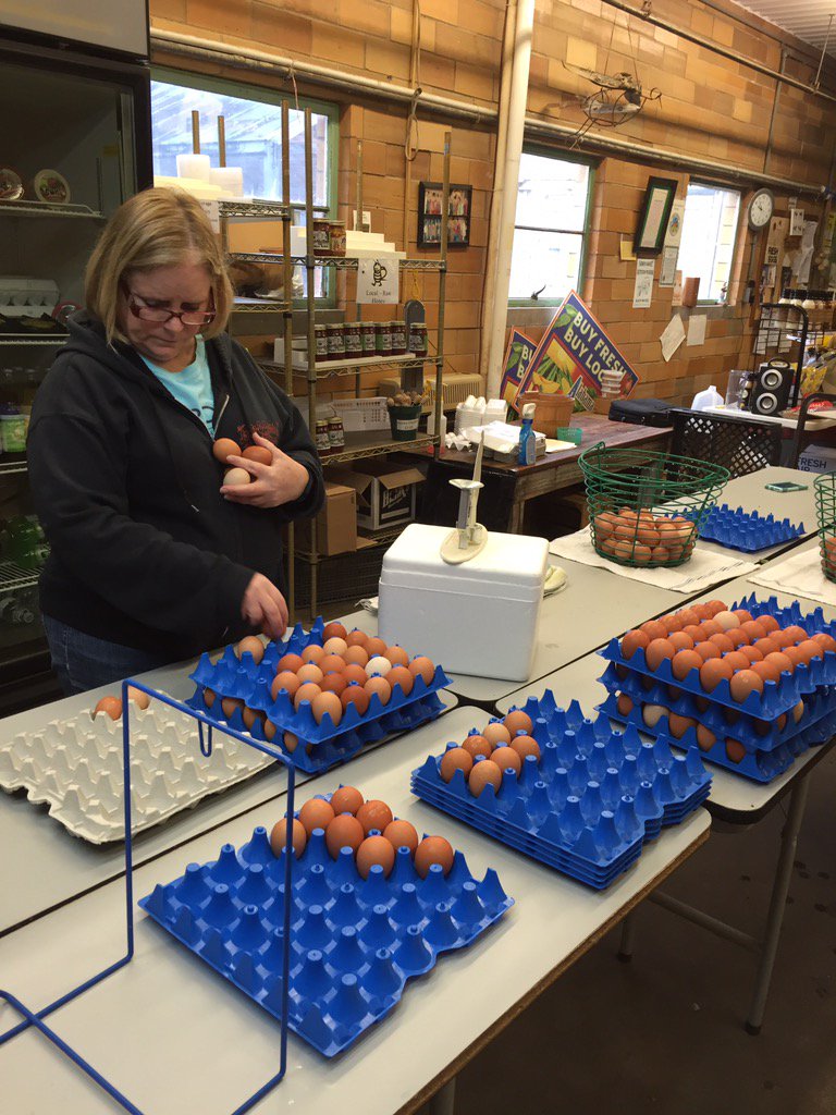 JOLFarm's tweet photo. We have the best eggs in town https://t.co/oJdohMQ5mg