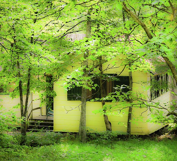 waterwings2011's tweet photo. New artwork for sale! - "Hidden Cottage - Mammoth Cave National Park - Kentucky " - https://t.co/QMLgNo9npT @fineartamerica https://t.co/fuMJjYjmN5