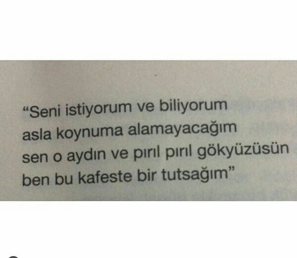 Dilara Bektaş (@dilarabektas0) on Twitter photo 