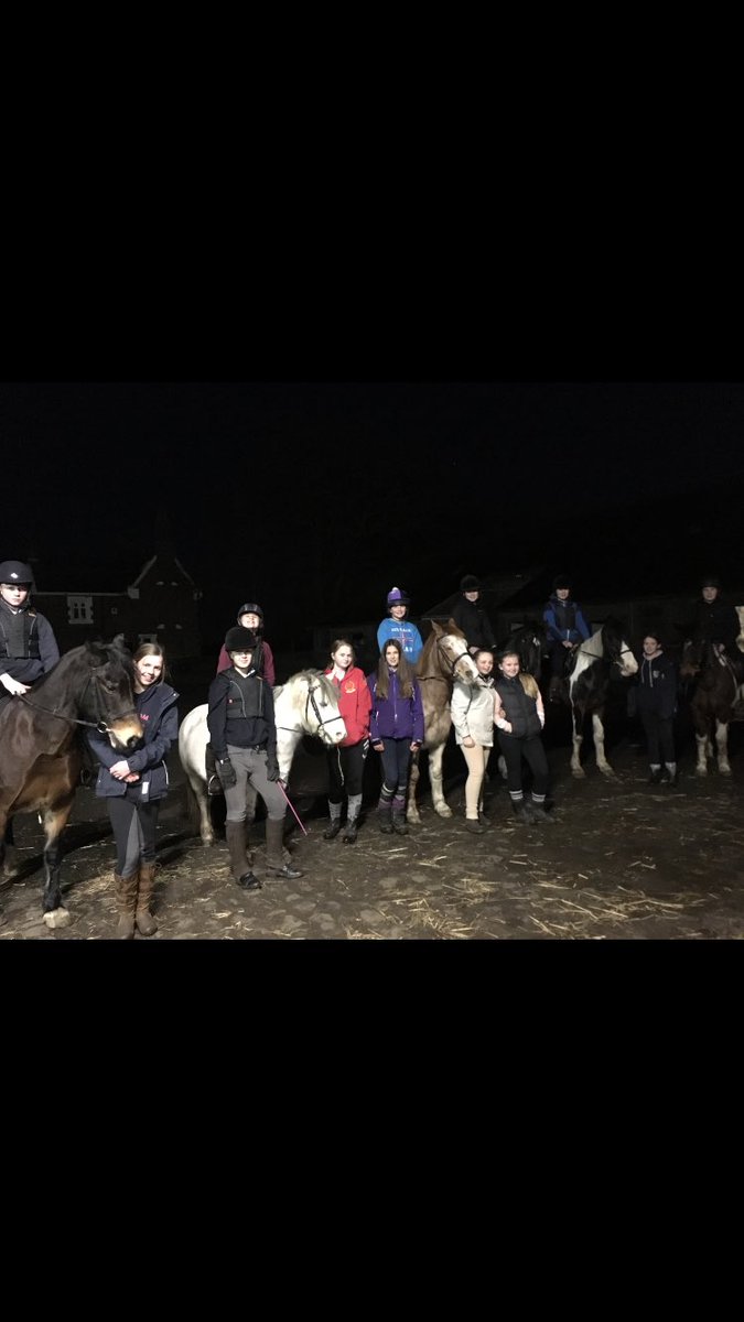 DaniellePerez30's tweet photo. @Young_Eq @LSPSatellite #showjumping #dressage #youngequestrians https://t.co/gITkqy3sJG