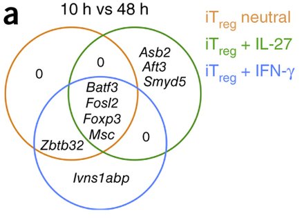 mmw_lmw's tweet photo. #Musculin promotes Development of Peripheral #Treg by suppressing #TH2 Fate | Wu & Kuchroo @harvardmed @NatImmunol https://t.co/ZdVcnUwIOf https://t.co/5MvTsg1lk4