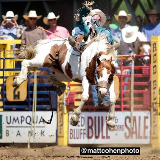 Here is another great Short Go Xtreme team member Justin McDaniel!!!