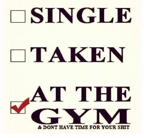 Syndicate_Syren's tweet photo. Lift. Yoga. Swim. Repeat. https://t.co/JS8iiRRel3