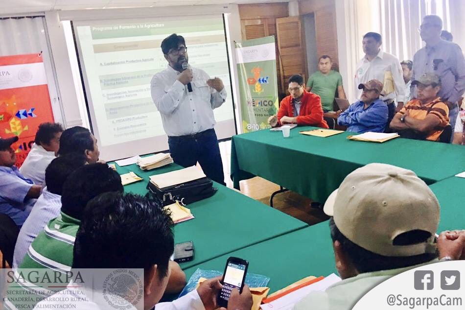 SAGARPACAM's tweet photo. Capacitación a productores de Maíz del Camino Real sobre las Reglas de Operación 2017 por parte de personal de la Delegación.
#MoverAMéxico https://t.co/gCCEBMu418