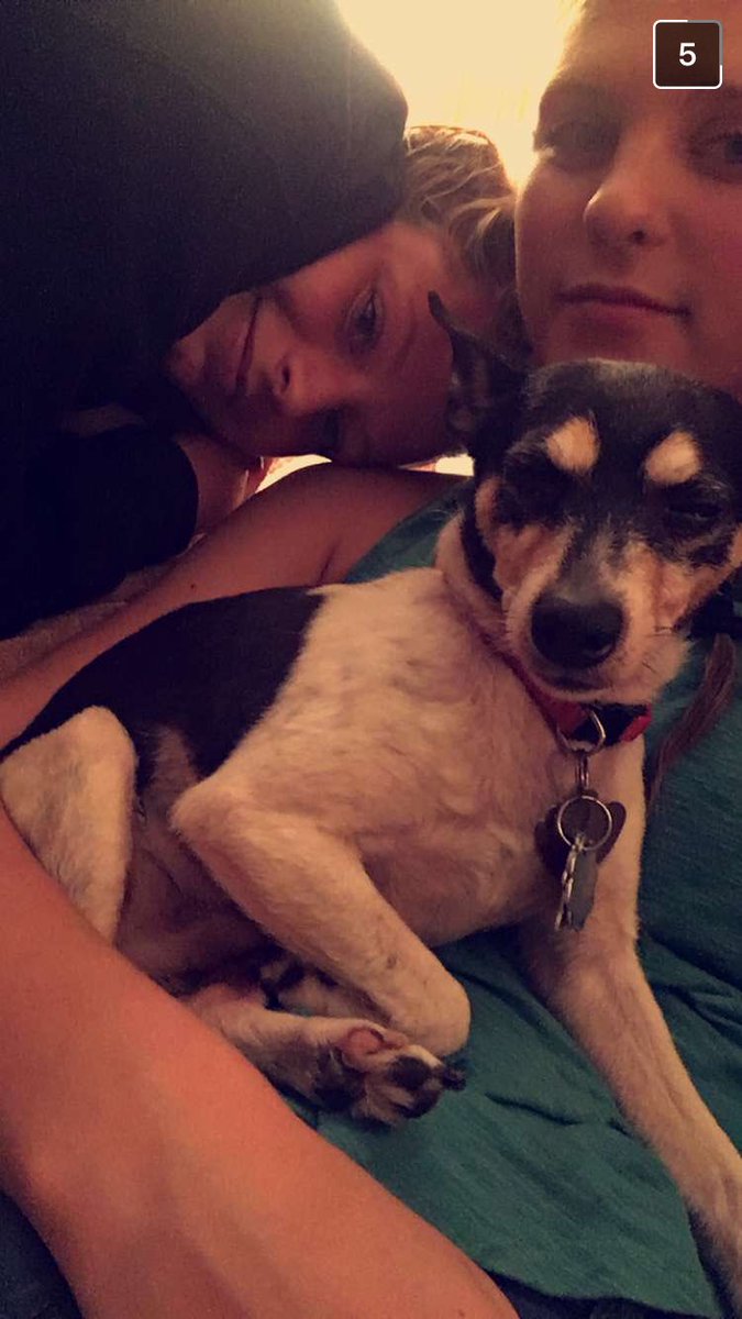 HaleyNabors's tweet photo. 💕🐶💕 https://t.co/W1bDqhVG0r