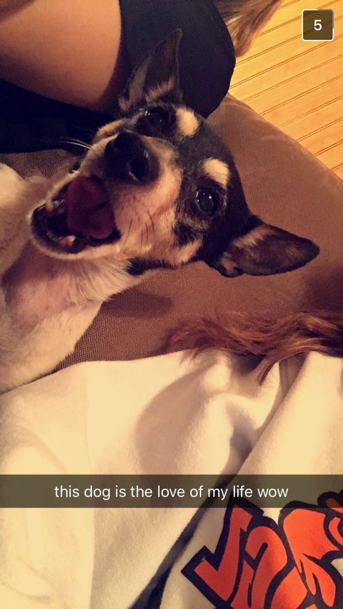 HaleyNabors's tweet photo. 💕🐶💕 https://t.co/W1bDqhVG0r