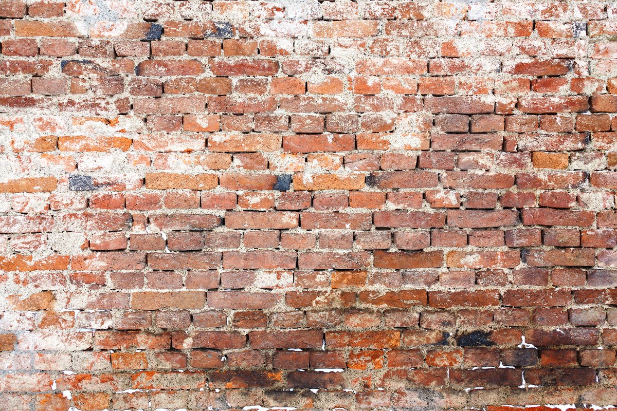 mindofwall tweet picture