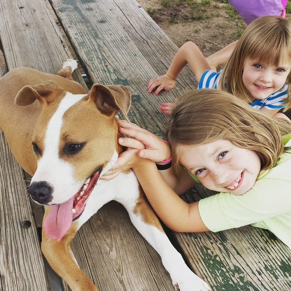 JohnDalyBooks's tweet photo. @JonahNRO Agreed. #pitowner https://t.co/vWtePFQ852