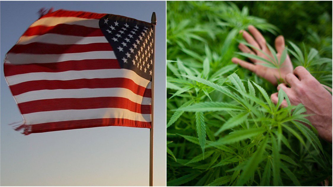 19 states where PTSD is approved for medical marijuana treatment: bit.ly/2cwYUcf