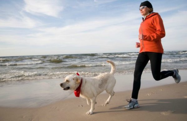 mundocan's tweet photo. ¿Quieres hacer algún deporte? ¡Incluye a tu mascota! Te compartimos 6 ideas para ejercitarte con tu perruno amigo: https://t.co/q7g0DbBTLY https://t.co/yYeUzDqdeA