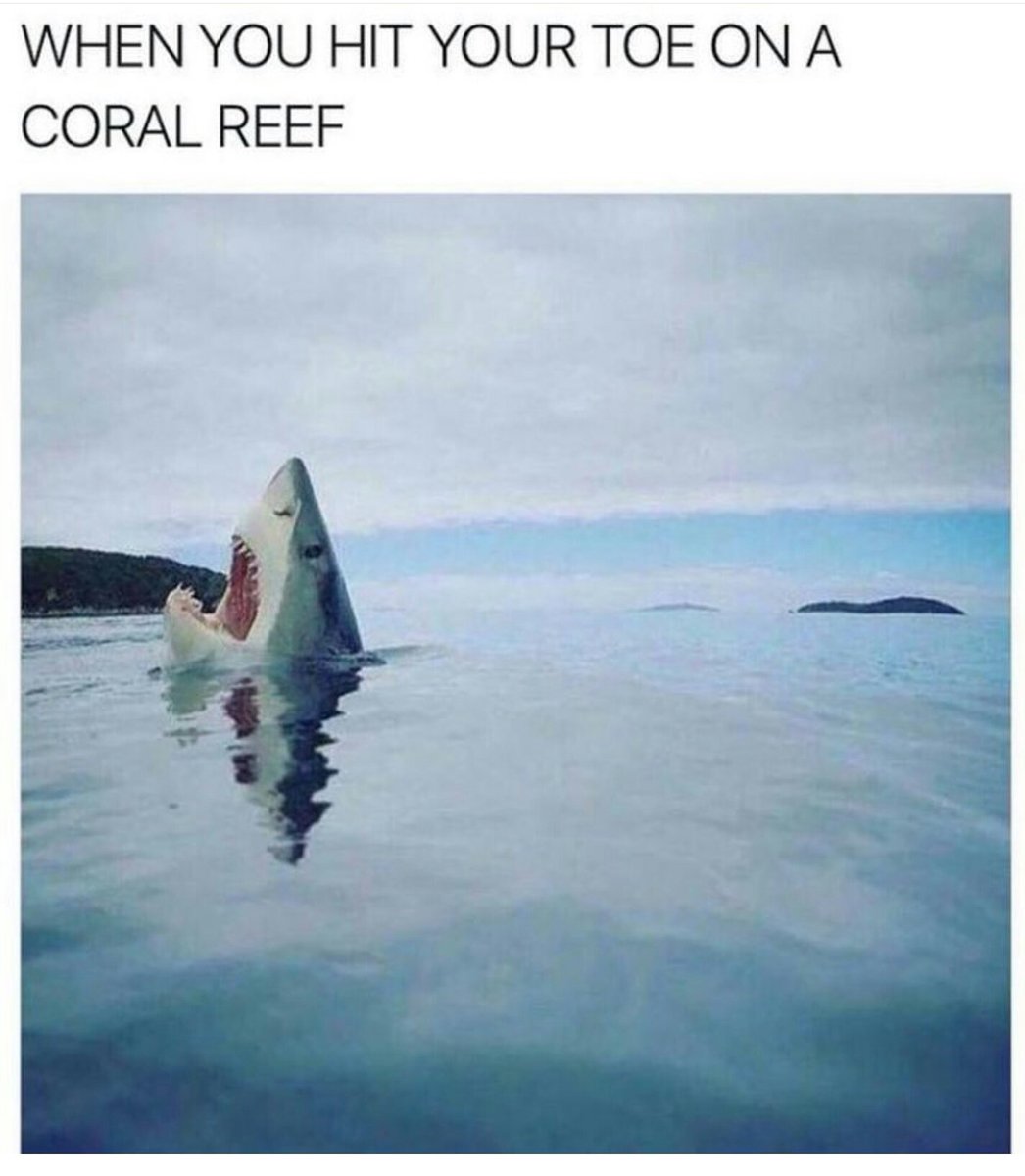 Meme Mang. tweet media