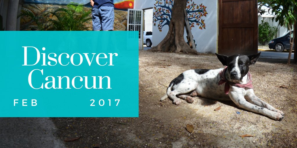 kabehcancun's tweet photo. What will you #discover in 2017? #Travel &amp; discover #kabehcancun https://t.co/ceTYZkgicE
