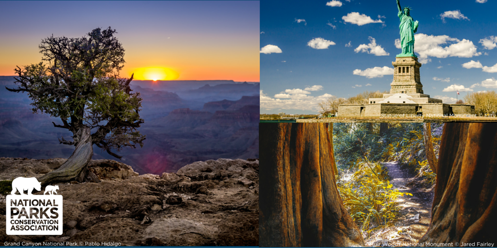 NPCA tweet picture